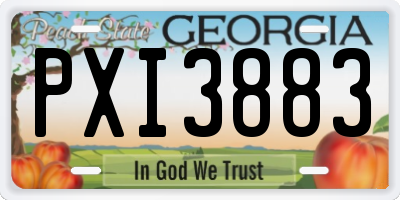 GA license plate PXI3883