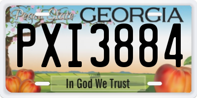 GA license plate PXI3884