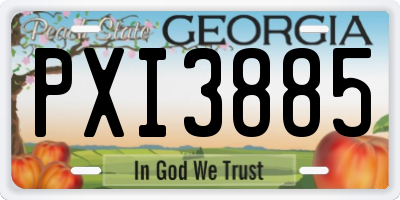 GA license plate PXI3885