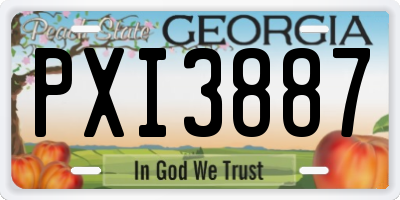 GA license plate PXI3887