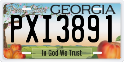 GA license plate PXI3891