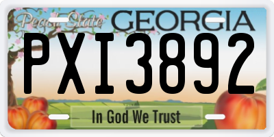 GA license plate PXI3892