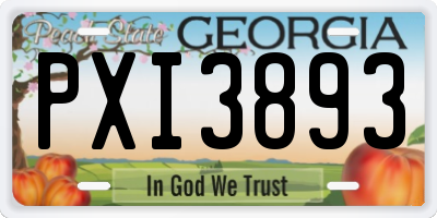 GA license plate PXI3893