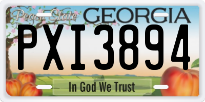 GA license plate PXI3894