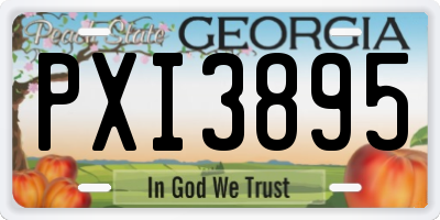 GA license plate PXI3895
