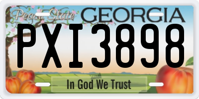 GA license plate PXI3898