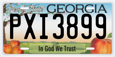 GA license plate PXI3899