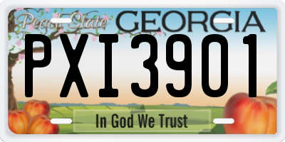 GA license plate PXI3901