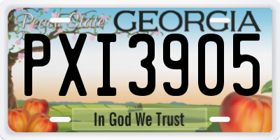 GA license plate PXI3905