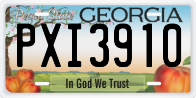 GA license plate PXI3910