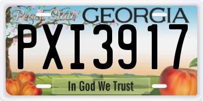 GA license plate PXI3917