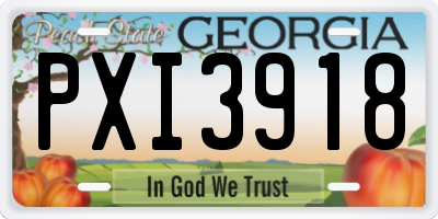 GA license plate PXI3918