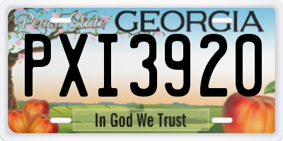 GA license plate PXI3920