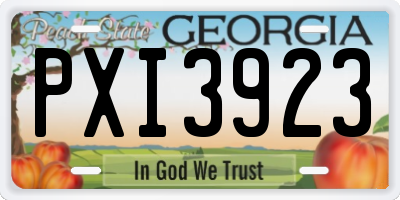 GA license plate PXI3923