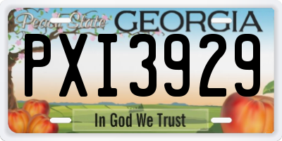GA license plate PXI3929