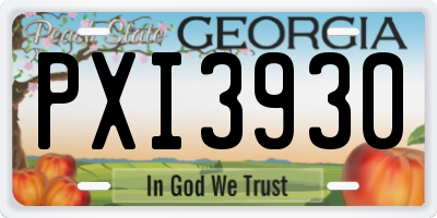 GA license plate PXI3930