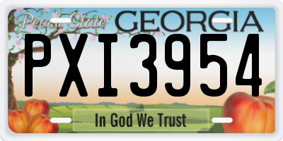 GA license plate PXI3954