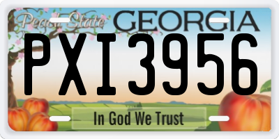 GA license plate PXI3956