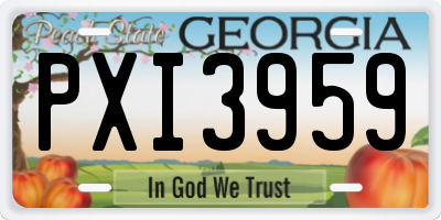 GA license plate PXI3959