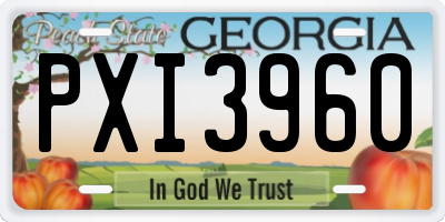 GA license plate PXI3960