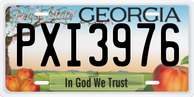 GA license plate PXI3976