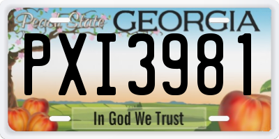 GA license plate PXI3981