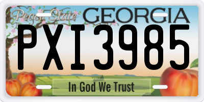 GA license plate PXI3985