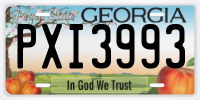GA license plate PXI3993
