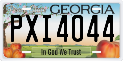 GA license plate PXI4044