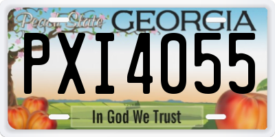 GA license plate PXI4055