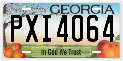 GA license plate PXI4064