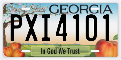 GA license plate PXI4101