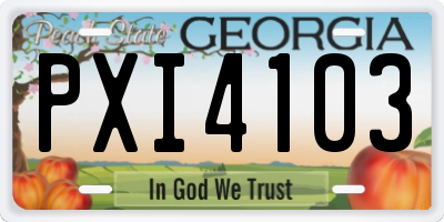 GA license plate PXI4103