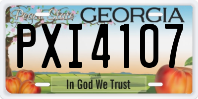 GA license plate PXI4107
