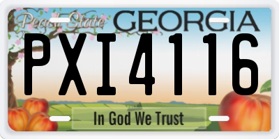 GA license plate PXI4116