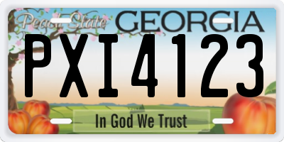 GA license plate PXI4123