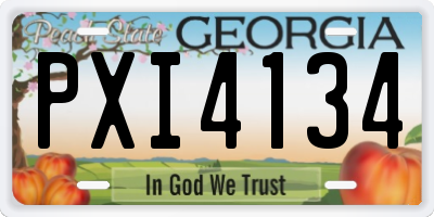 GA license plate PXI4134