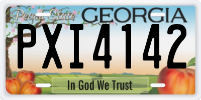 GA license plate PXI4142