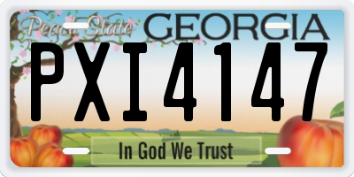 GA license plate PXI4147