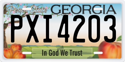 GA license plate PXI4203