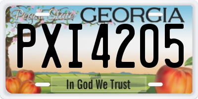 GA license plate PXI4205