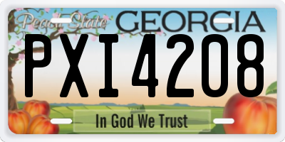 GA license plate PXI4208