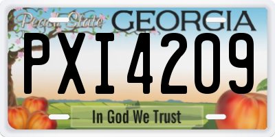 GA license plate PXI4209