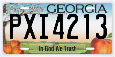GA license plate PXI4213