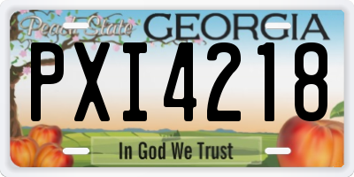 GA license plate PXI4218