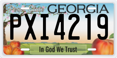 GA license plate PXI4219