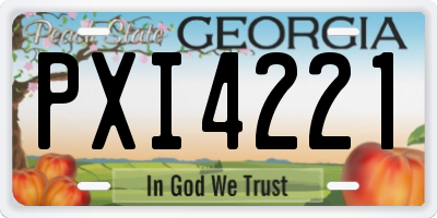 GA license plate PXI4221