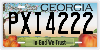 GA license plate PXI4222