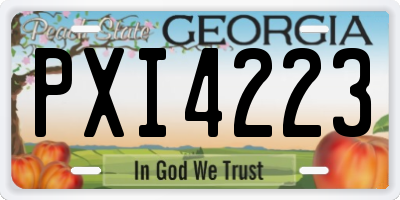 GA license plate PXI4223
