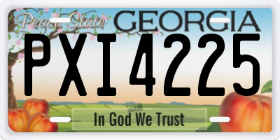 GA license plate PXI4225